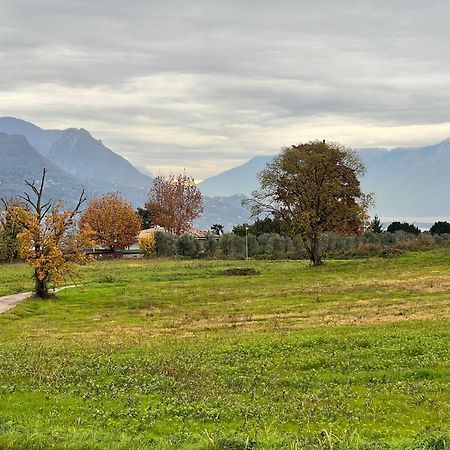La Finestra Sul Garda Dreaming Holidays Сан Феличе дел Бенако Екстериор снимка