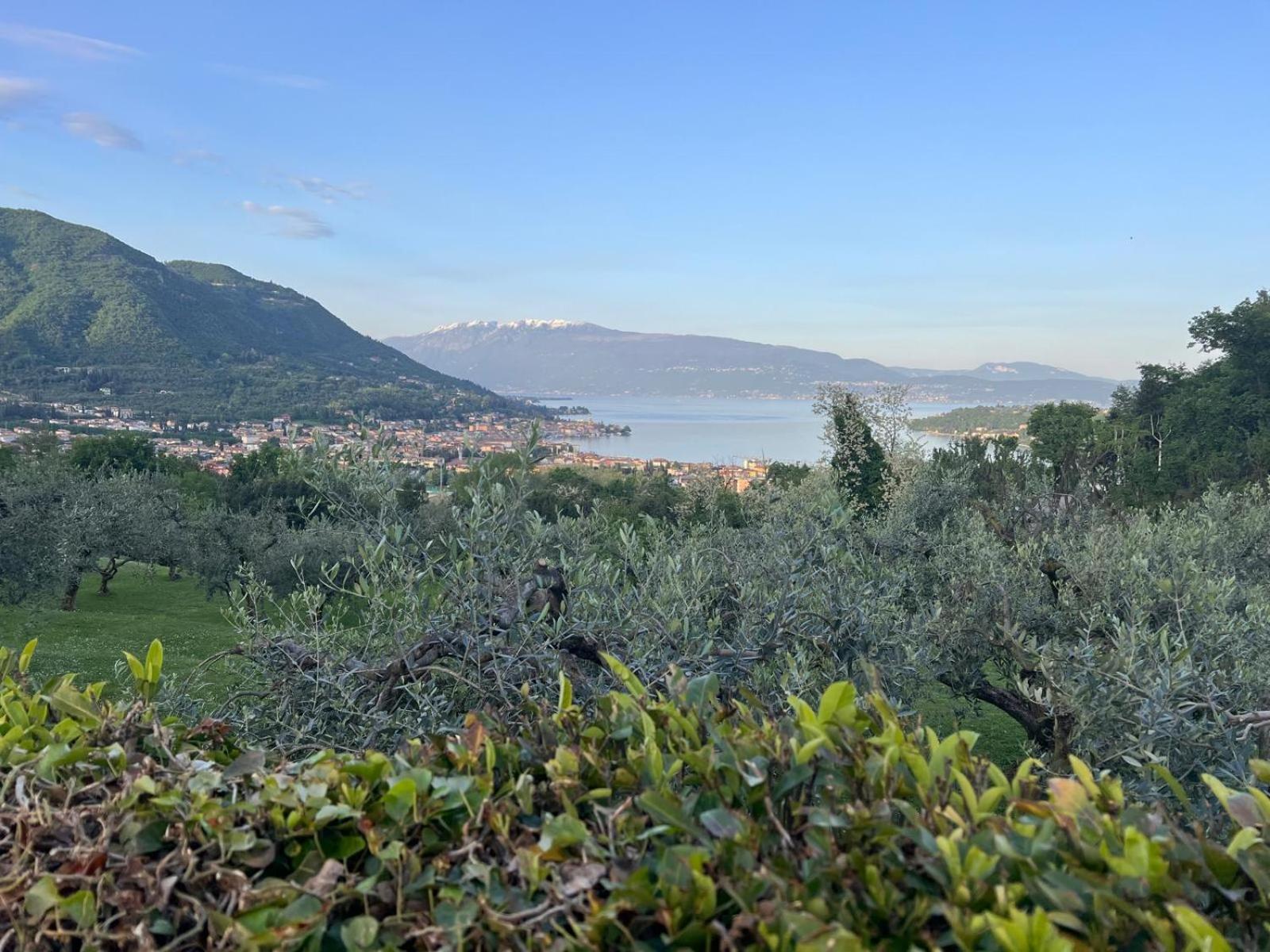 La Finestra Sul Garda Dreaming Holidays Сан Феличе дел Бенако Екстериор снимка