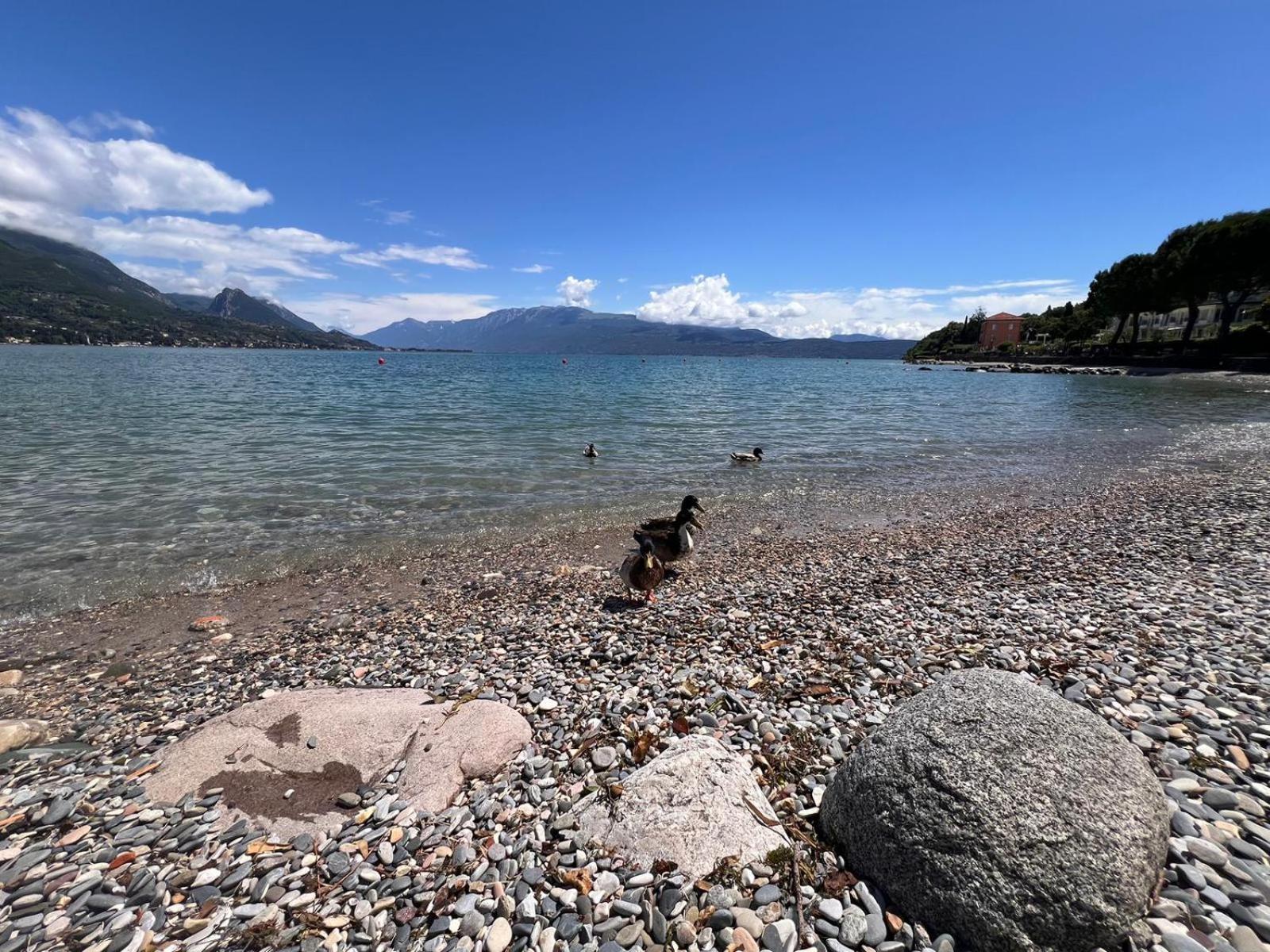La Finestra Sul Garda Dreaming Holidays Сан Феличе дел Бенако Екстериор снимка