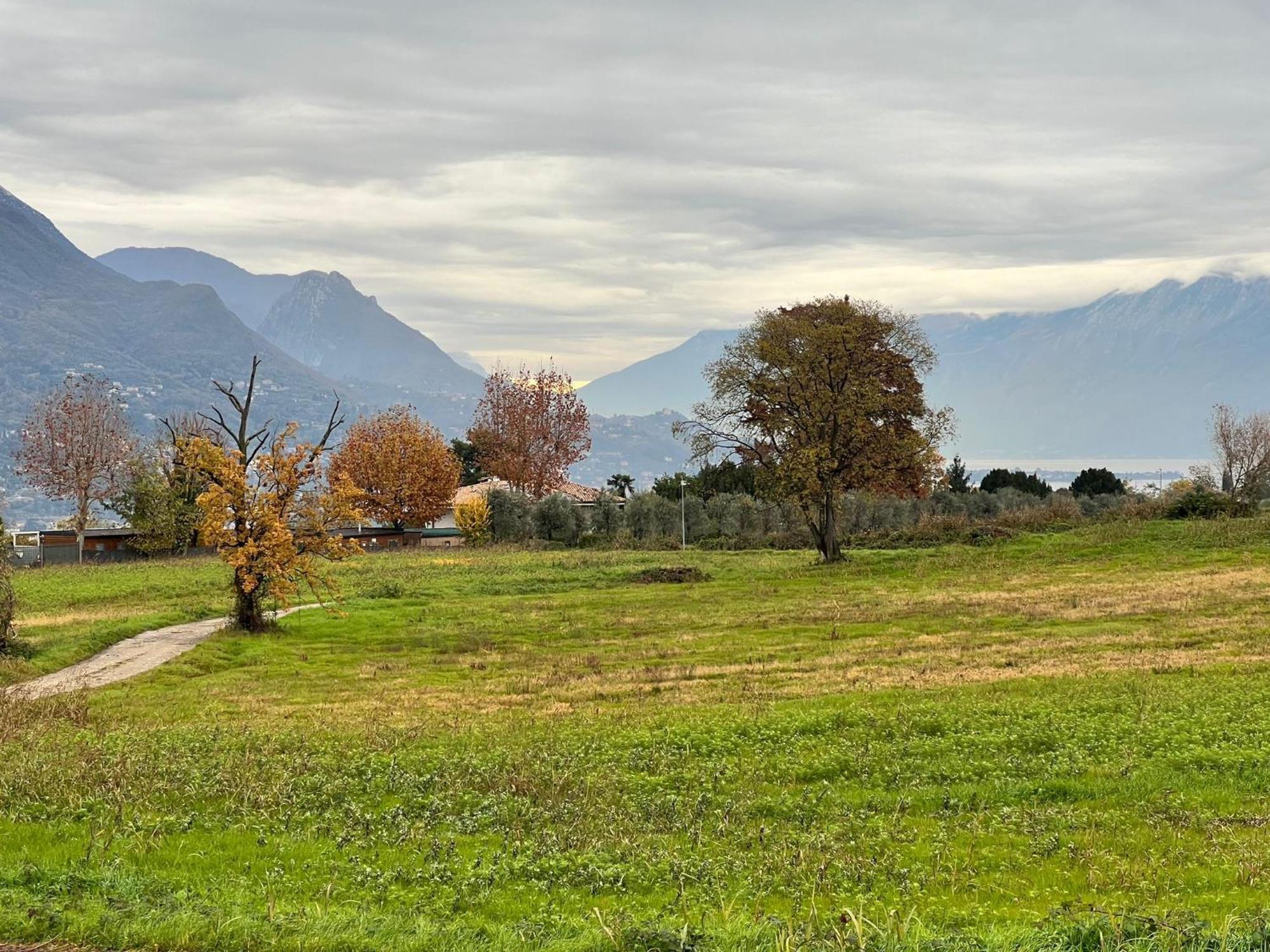 La Finestra Sul Garda Dreaming Holidays Сан Феличе дел Бенако Екстериор снимка