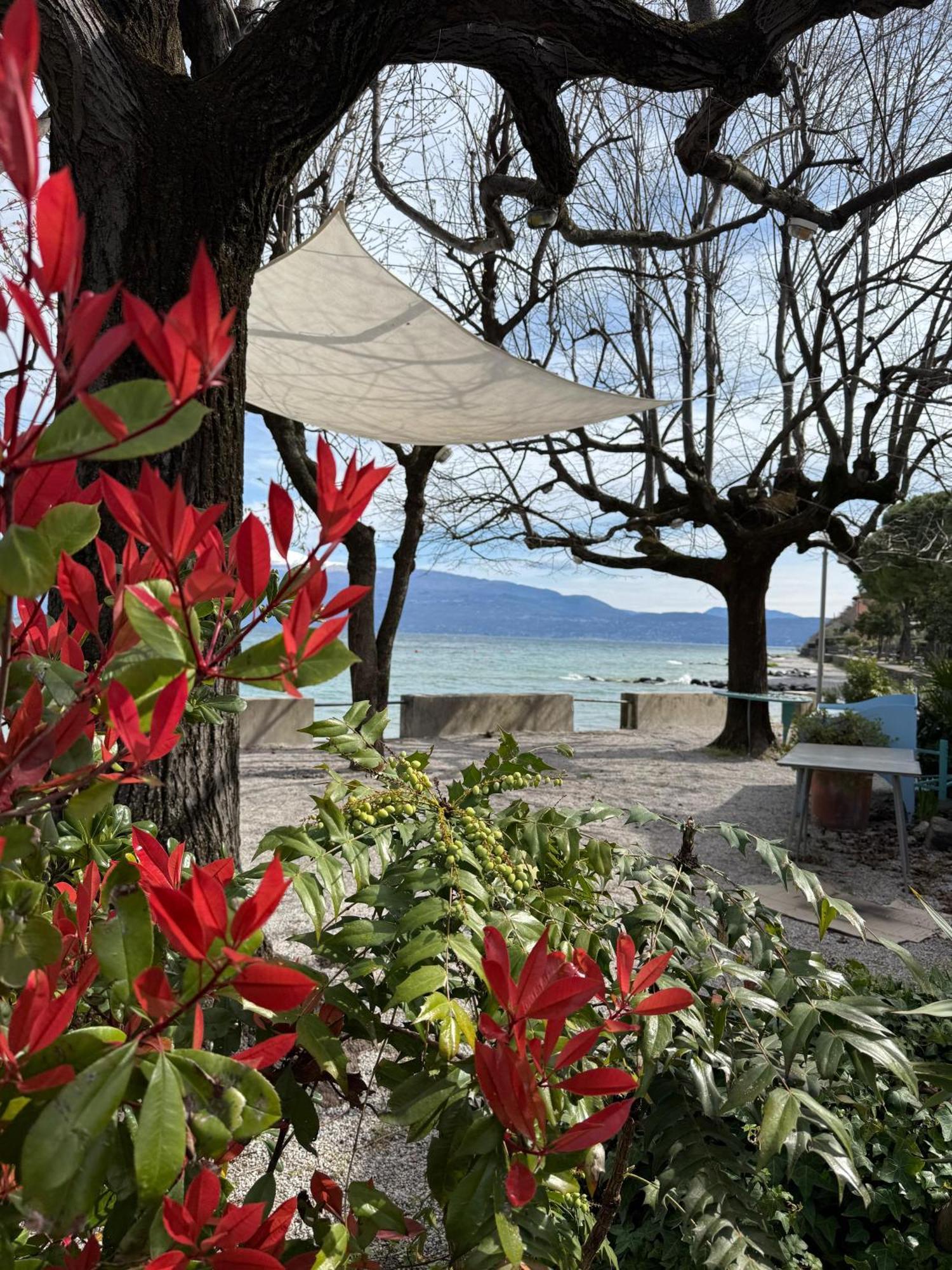 La Finestra Sul Garda Dreaming Holidays Сан Феличе дел Бенако Екстериор снимка